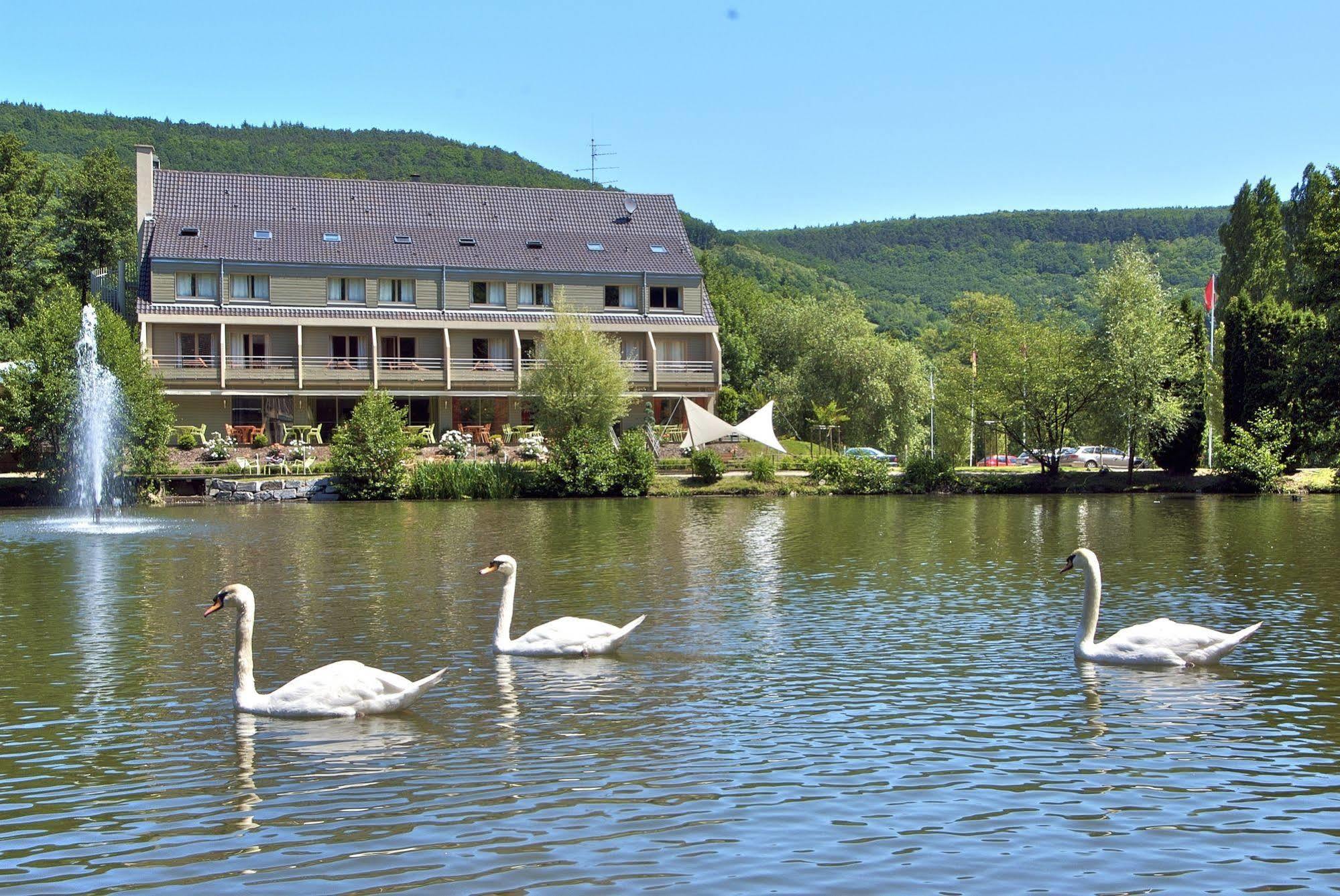 Hotel Les Rives Guebwiller Eksteriør bilde